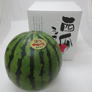 1̡7kg