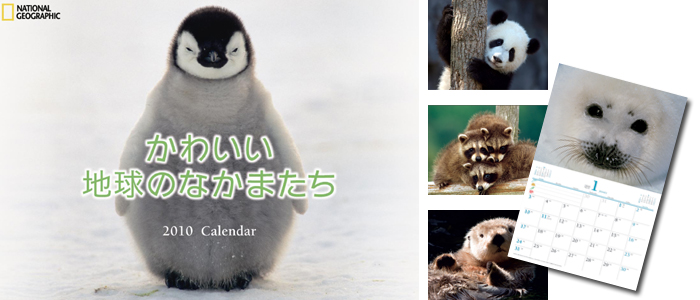 ナショナルジオグラフィックカレンダー2010年「かわいい地球の