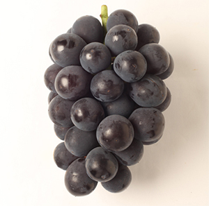 1˼500g