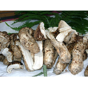 �դ������ޤĤ��� ���äפ�400g