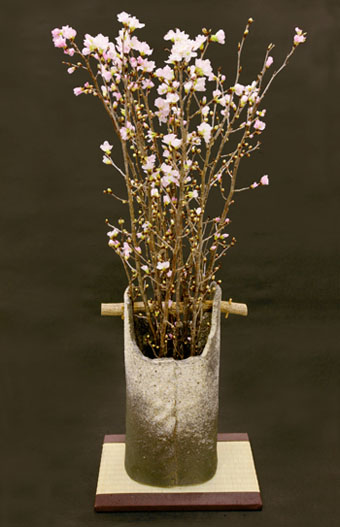 啓翁桜 山形名産 冬に咲く桜 正月におすすめ 生産者限定 G Callショッピング