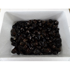1kg