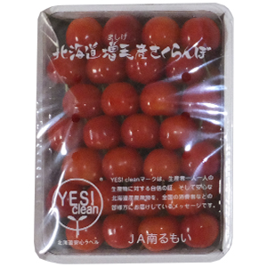500g 2L