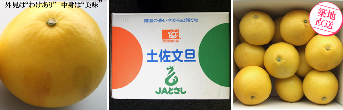 高知県戸波(へわ)産 土佐文旦(ご家庭用) | G-Callショッピング 高知県戸波(へわ)産 土佐文旦(ご家庭用) | G-Callショッピング