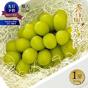 秀品シャインマスカット1房（約550g） ｜ G-Call ふるさと納税