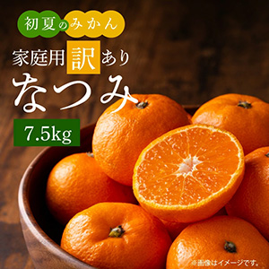 先行予約】初夏のみかん なつみ7.5kg ｜ G-Call ふるさと納税