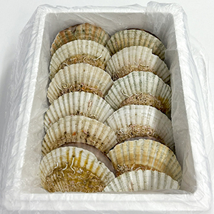 ۥ2kg(1216)