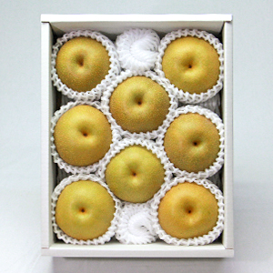 8(2kg)