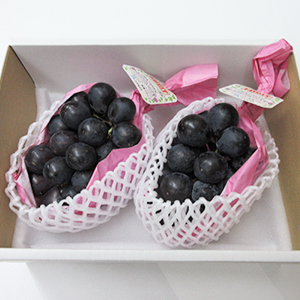 1kg 23˼