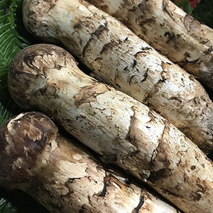 �����ʡ�������ֲ������ʶ˾�����Ĥܤ�400g�ˡ�30���åȸ����