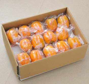 ý3̡2.5kg