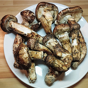 ������ 1kg