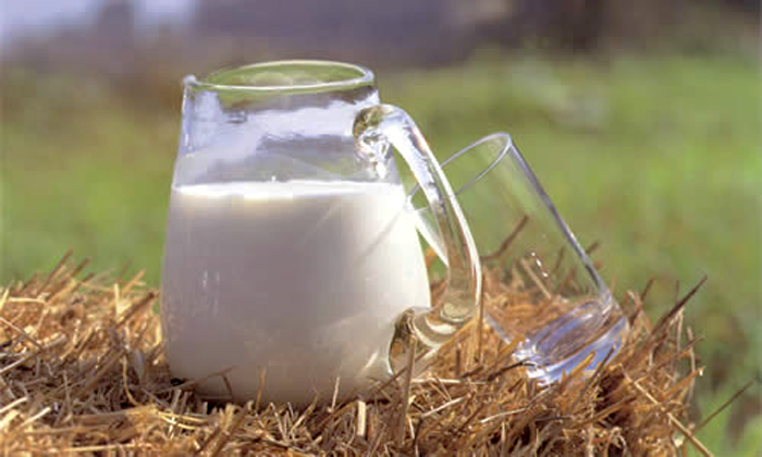 牧成舎の乳製品