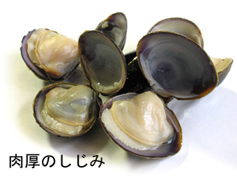 商品説明