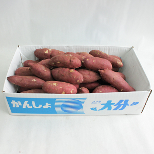 S 5kg(40)
