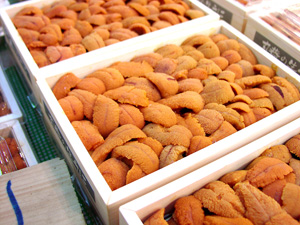 北方四島の生うに 弁当箱 魚介 G Callショッピング