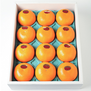 3kg(12)