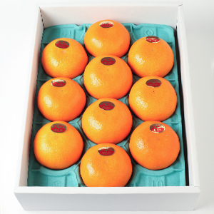 3kg(10)