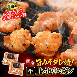 250g2