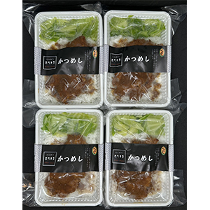 300g4