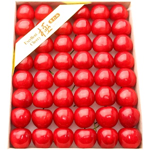 ýL2L 300g(4854γ)