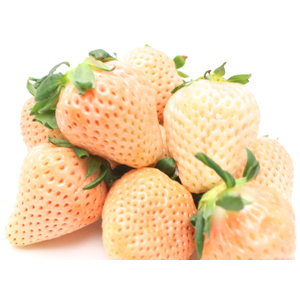 ̲ʡ350g1820γ