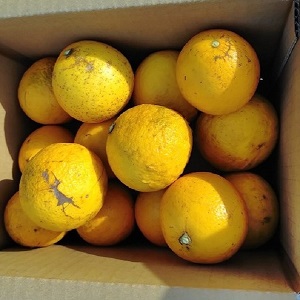 3kg