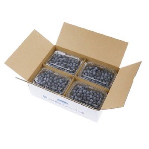 2kg