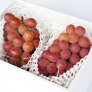 500g2˼