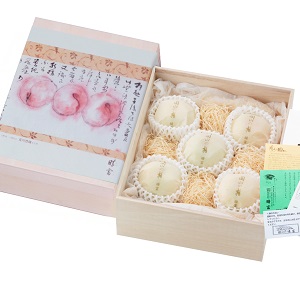 280g5
