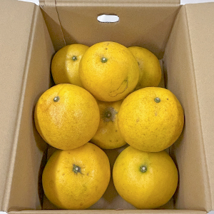 5kg68̡1500gʾ