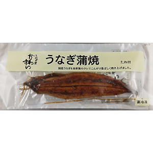 160g3