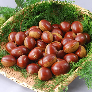 3L(1kg)