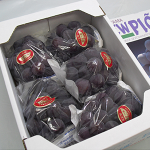 2kg(4-6˼)