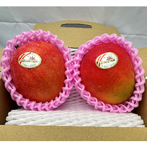 2̡1kg