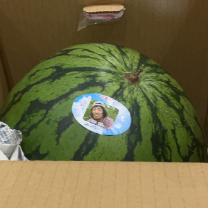 5L6L 1