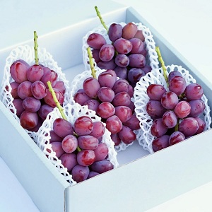 46˼2kg