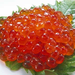 吉川水産 北海道標津産 (しべつ産) 神内商店 マ印いくら醤油漬 | G