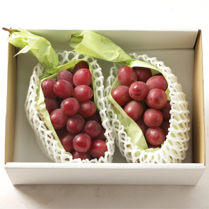 850g2˼