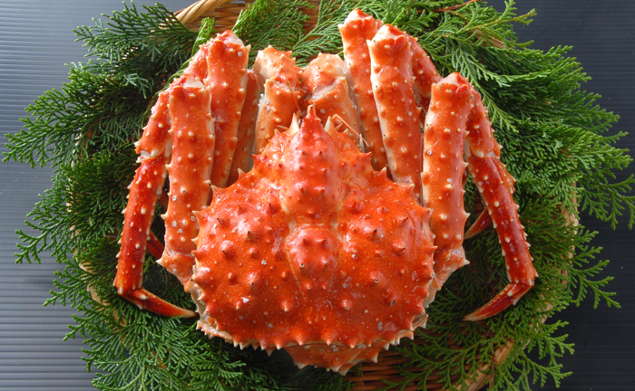 タラバガニさん専用 ボイルタラバガニ ハーフポーション カット済み 超特大1.6kg(総重量約