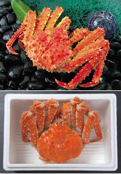 函館朝市 ≪三矢水産≫ 茹でたてタラバがに 姿 魚介 | G-Callショッピング