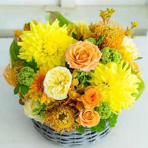 ����� (AR0112-0122)