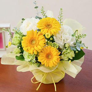 �����������ۥ磻�ȷ� ��AR0112-0167��