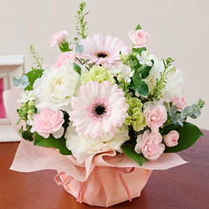 �ԥ󥯡��ۥ磻�ȷ� ��AR0112-0168��