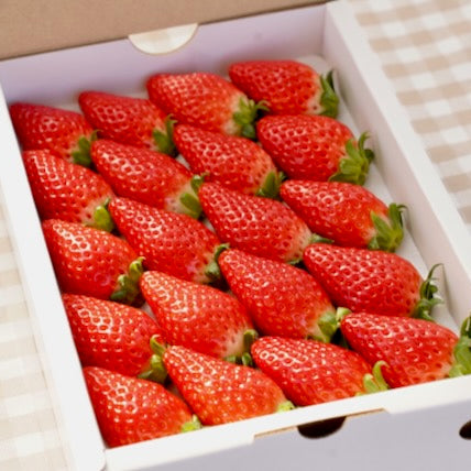 �ڤ��㤤����20γ����ʾ�γ��