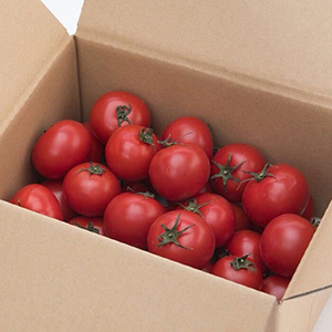 �ˡ�2kg������10�ٰʾ��