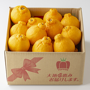 ��4.5��(15��22��)