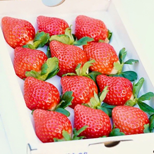 8��15γ����