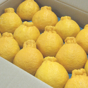 5kg��18��20�̡�