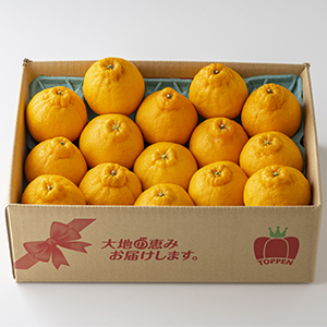 ��3��(9��16��)